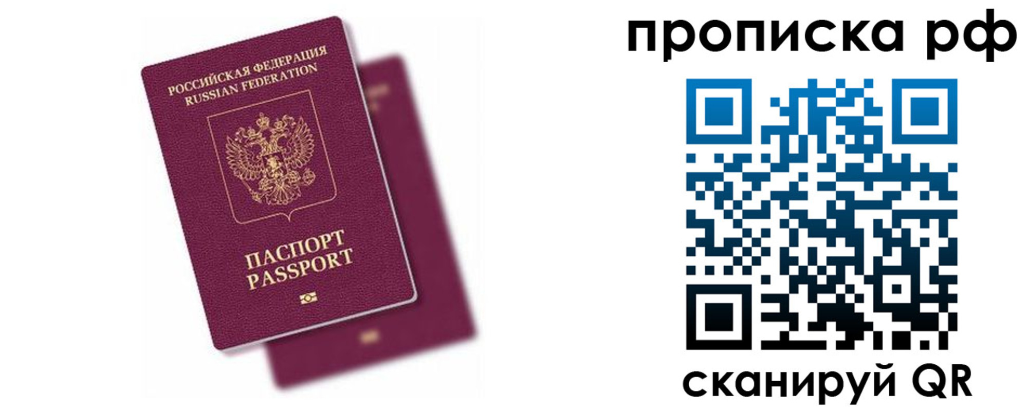 прописка в Оленегорске